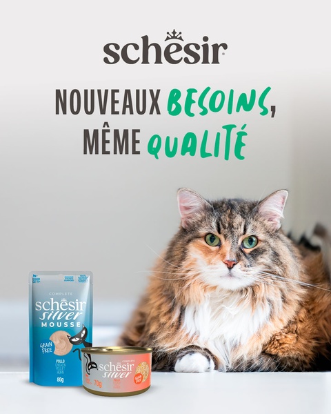 A high-quality 4:5 vertical ad featuring a cat alongside its premium food products, emphasizing consistent quality for changing pet dietary needs.