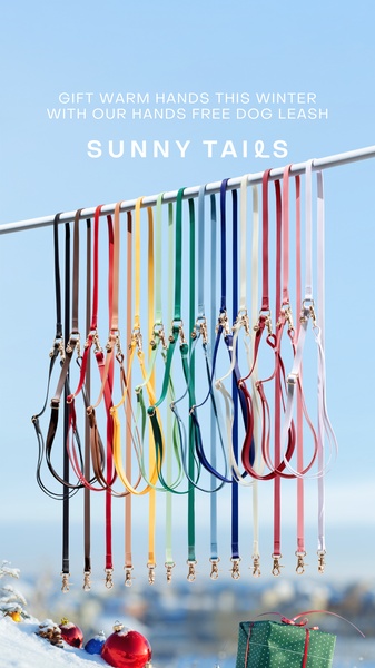 A vertical 9:16 product hero shot showcasing multiple color variations of a hands free dog leash hanging on a line against a winter sky.