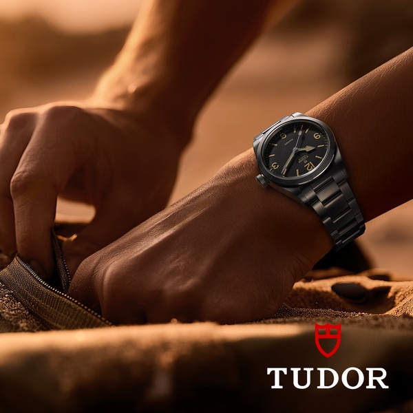 wrist watch, analog watch, steel watch, mens watch, luxury watch, brand awareness, lifestyle, editorial, luxurious, warm, brown, gold, neutral