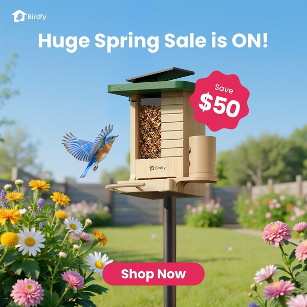 Offer & Sale