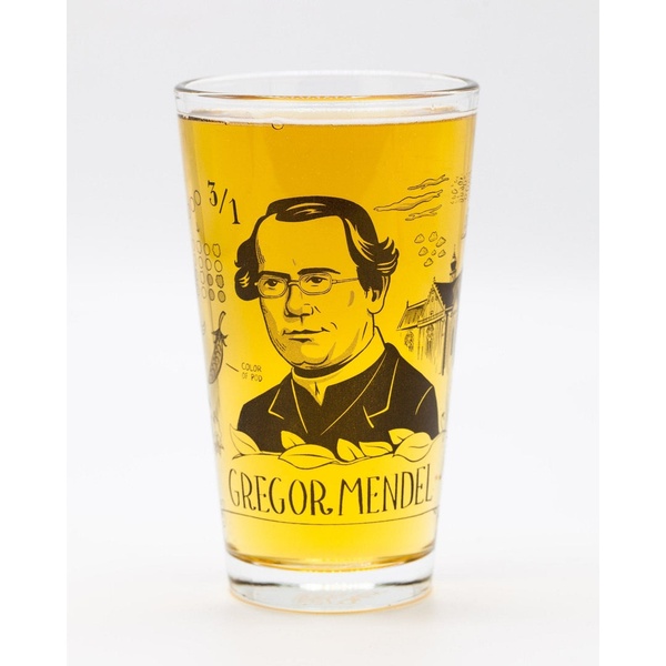 A high-clarity studio photograph of a pint glass featuring a black line-art illustration of Gregor Mendel and genetic markers, filled with golden liquid.