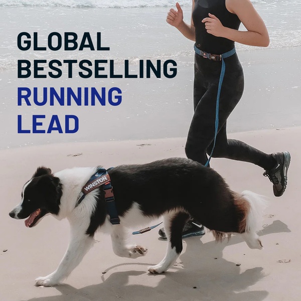 A 1:1 ratio lifestyle ad featuring a person jogging with a dog on a branded running lead, emphasizing the product's status and utility.