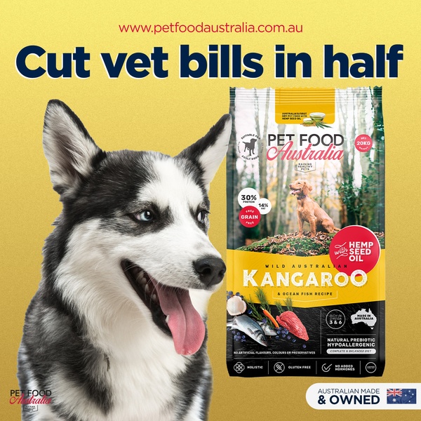 A square ad format featuring a dog portrait alongside product packaging, using a bold, benefit-driven headline to target pet owner concerns.