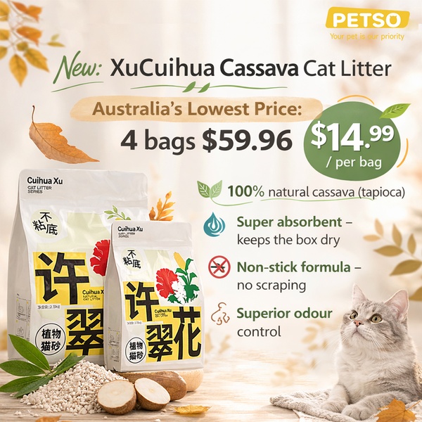 A clean, informative 1:1 product ad highlighting the natural origin, absorbency, and cost-efficiency of cassava-based cat litter.