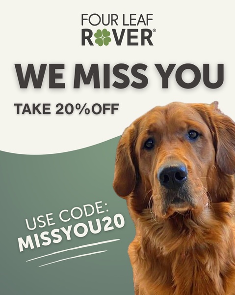 A clean, high-contrast retention ad featuring a portrait of a dog and a direct 20% discount offer for returning customers.