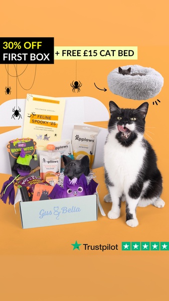 A festive flat-lay display of a cat subscription box featuring Halloween-themed toys and treats, paired with an offer for a discount and a free cat bed.
