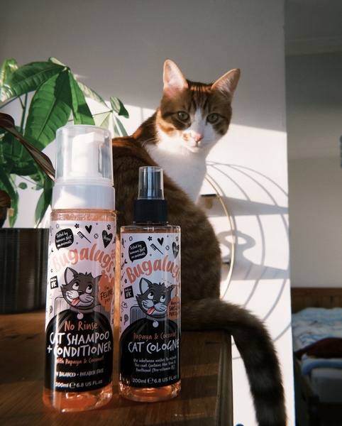 A natural, lifestyle-oriented ad featuring cat grooming products placed beside a cat in a bright, sunlit indoor setting.