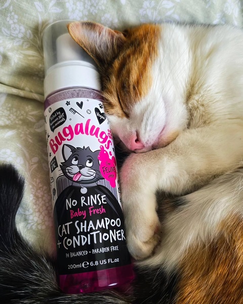 A calm, domestic scene features a peaceful cat sleeping against a bottle of no-rinse cat shampoo, emphasizing gentleness and ease of use.