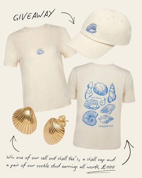graphic tee, printed t-shirt, shell print shirt, embroidered tee, casual top, brand awareness, bundle offer, minimalist, flat lay, calm, fresh, neutral, blue, gold