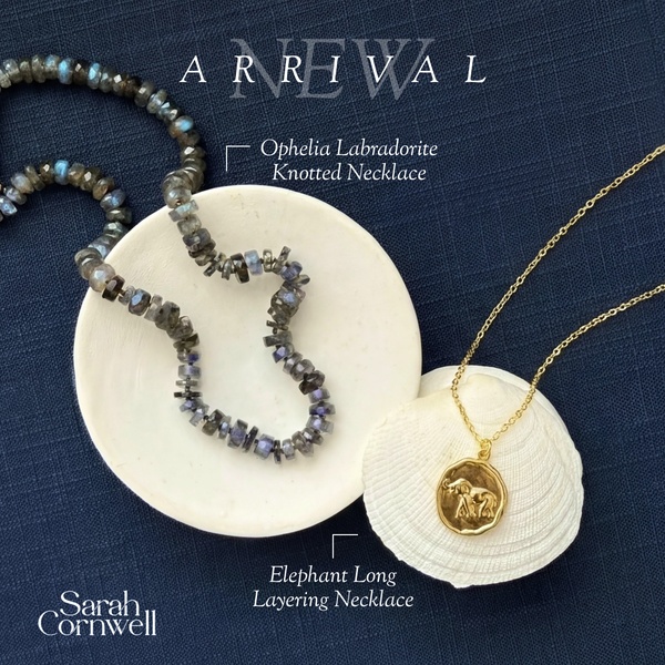 A sophisticated flat lay featuring two distinct necklaces displayed on natural white shells against a deep navy textured backdrop.