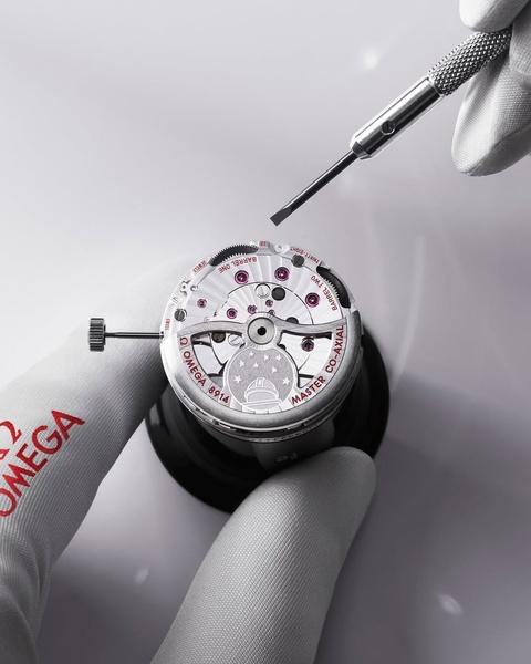 mechanical watch movement, watch caliber, luxury wristwatch, horology movement, watch mechanism, brand awareness, minimalist, editorial, luxurious, trustworthy, neutral