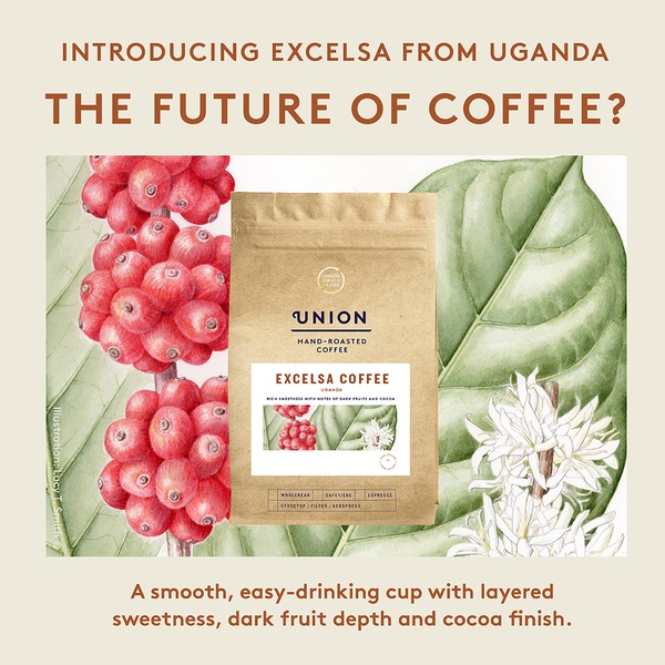 A high-conversion ad creative using botanical illustration to highlight product origin and tasting notes.