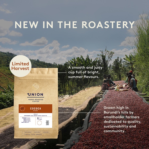 This creative showcases a coffee bean product package against a high-resolution, sun-drenched field where the coffee was harvested.