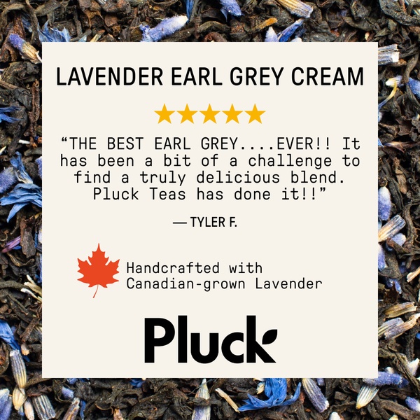 A square-format static ad featuring a customer testimonial overlay on a background of loose-leaf tea, utilizing a star rating to establish immediate authority.