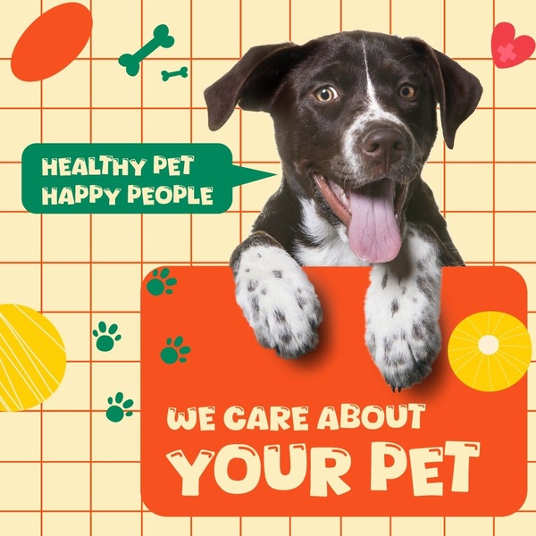 A square ad featuring an expressive, happy dog framed within a grid background, using bold green and orange blocks to highlight brand benefits.