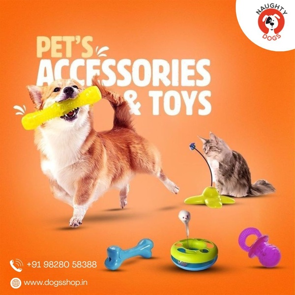 A clean, high-contrast promotional image showcasing a dog and a cat playing with various pet toys against a vibrant orange background.
