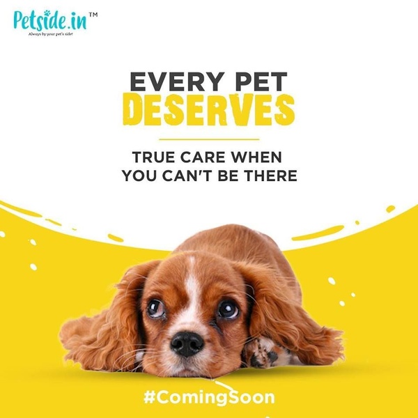 A clean, emotionally resonant ad creative that uses a sympathetic image of a puppy to build trust for a pet service brand.