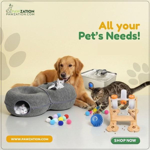 This creative showcases multiple pet accessories including a cat bed, water fountain, and interactive feeder in a clean, professional studio setup.
