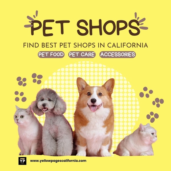 A bright, clear advertisement layout for a California pet shop directory, using high-quality pet photography and a minimalist, yellow-toned design to capture attention.