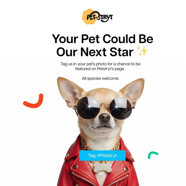 pet clothing, dog apparel, pet outfit, dog jacket, pet accessories, dog costume, social proof, brand awareness, minimalist, modern typography, playful, bold, neutral, red, yellow