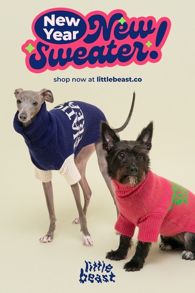 dog sweater, pet sweater, dog knitwear, dog clothing, dog apparel, pet coat, new arrival, product launch, minimalist, modern typography, playful, energetic, pink, blue, neutral, new year