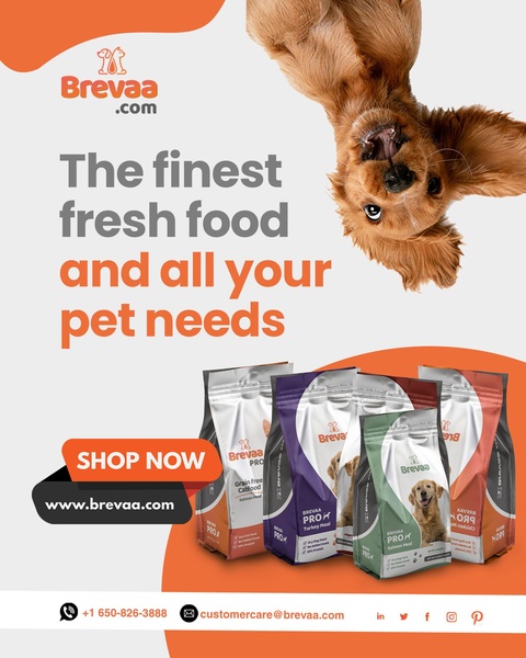 A 4:5 vertical ad for pet food using a visually jarring inverted pet image to command attention, complemented by a clear product showcase.