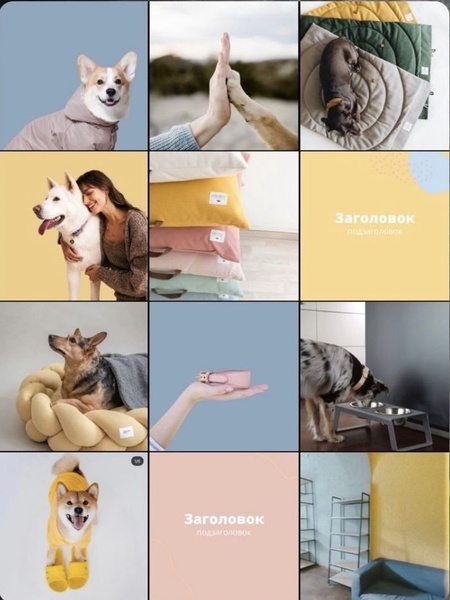 dog accessories, pet apparel, dog bed, dog bowls, pet supplies, dog clothing, new arrival, brand awareness, lifestyle, editorial, calm, warm, yellow, blue, pastel