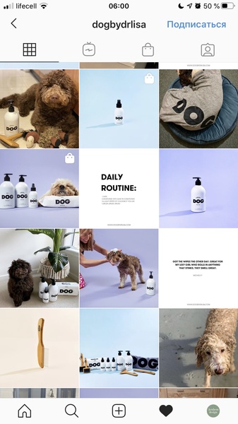 A collection of product shots for a dog care line, emphasizing a clean, consistent color palette and minimal text overlay.