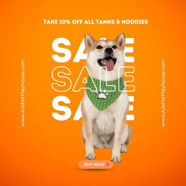 dog clothes, pet hoodie, dog tank top, dog bandana, pet apparel, dog clothing, sale promotion, limited time deal, modern typography, minimalist, energetic, playful, orange, green