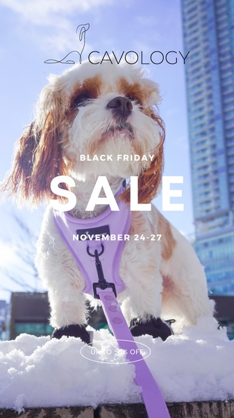 A vertical social ad featuring a dog wearing a harness in a snowy setting with clear Black Friday discount text.