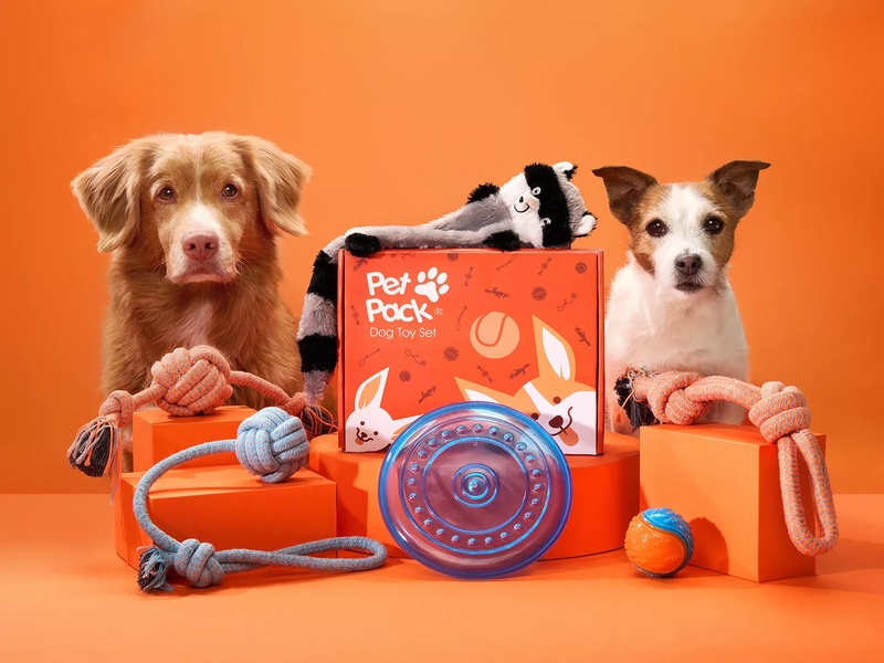 A high-quality product hero shot featuring two dogs posing with a complete dog toy set and branded packaging against a vibrant orange studio backdrop.
