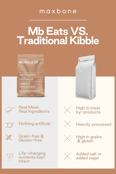 A clear, side-by-side comparison graphic contrasting the ingredient quality and nutritional value of premium dog food against standard kibble alternatives.