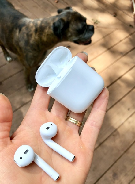A close-up, first-person perspective of a hand holding an open wireless earbuds charging case and one earbud, with a pet dog in the soft-focus background.