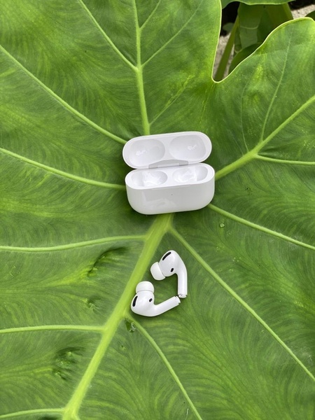 A clean, high-contrast shot of wireless earbuds and their charging case resting on a large, vibrant green leaf.