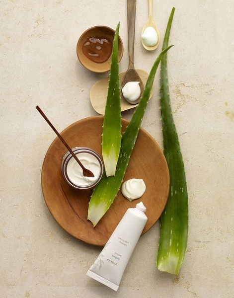 face mask, hydrating mask, skincare cream, aloe vera skincare, facial treatment, product demo, flat lay, minimalist, calm, fresh, neutral, green