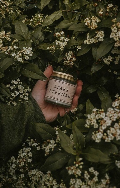 scented candle, glass jar candle, container candle, home fragrance, soy candle, brand awareness, lifestyle, calm, warm, green, neutral